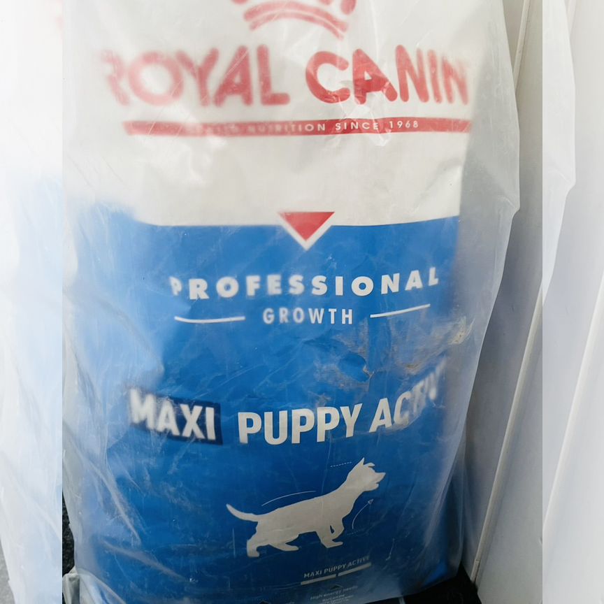 Корм для щенков royal canin maxi puppy