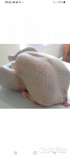 Мясо индейки