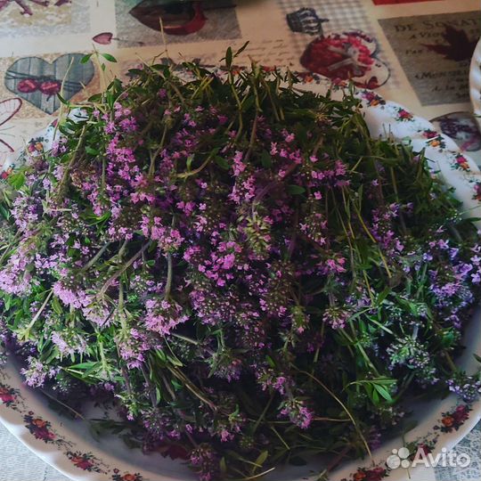 Варенье из чабреца
