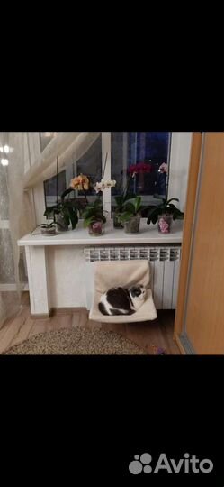 Гамак для кошек и маленьких собак до 6 кг