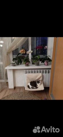 Гамак для кошек и маленьких собак до 6 кг