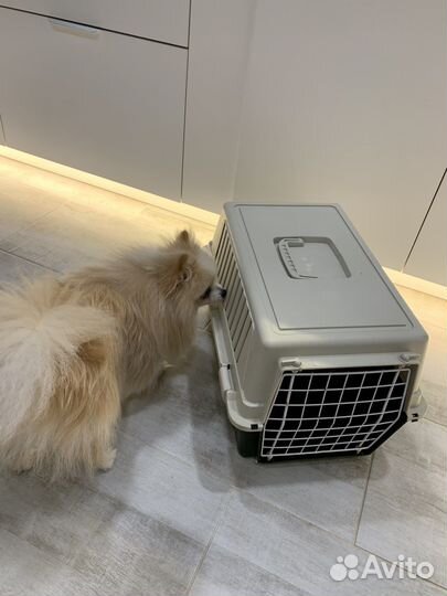 Переноска для кошек и собак