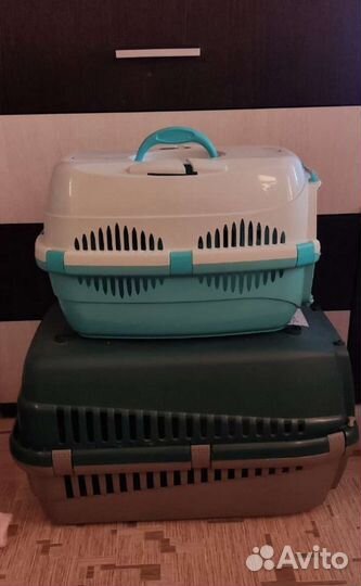 Переноска в аренду