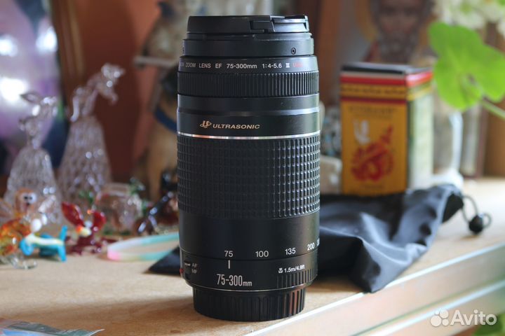 Canon 75-300 USM