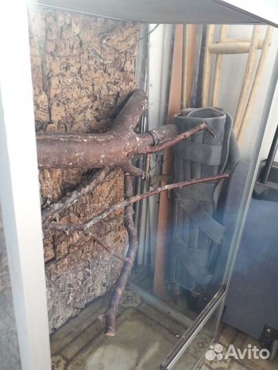 Клетка из стекла и профиля