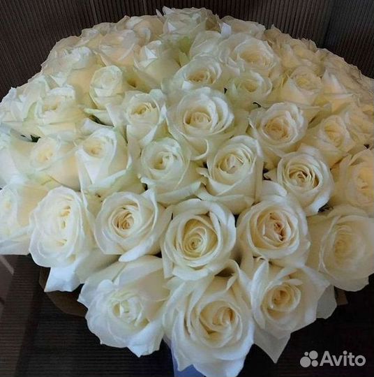 Высокие розы Гигантские розы Доставка цветов