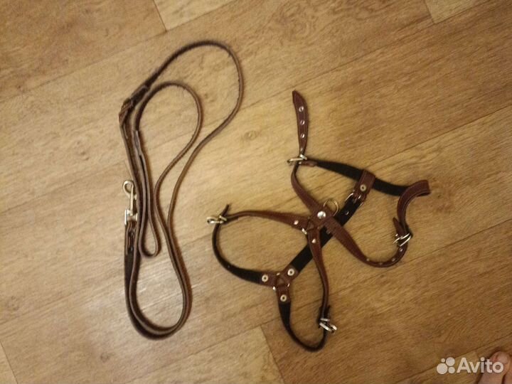 Шлейка для большой собаки, по типу питбуля