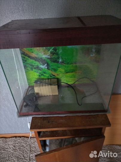 Аквариум
