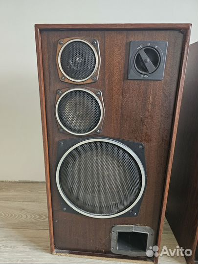 Акустические колонки radiotehnika S-90