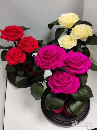 Роза в колбе оптом и в розницу