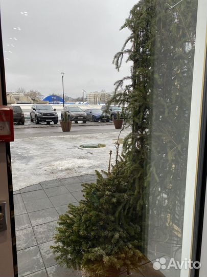 Мойка витрин