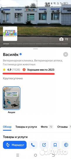 Стерилизация кошки или собаки