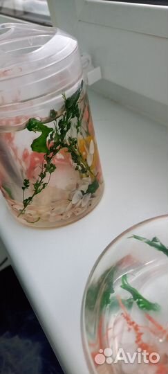 Набор для ванной мыльница и стакан под щетки