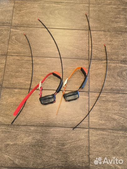 Garmin ошейник версия Америка