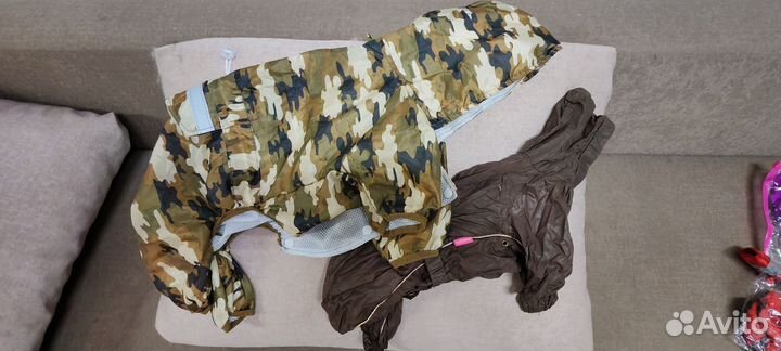 Одежда для собак мелких пород