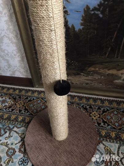 Когтеточка