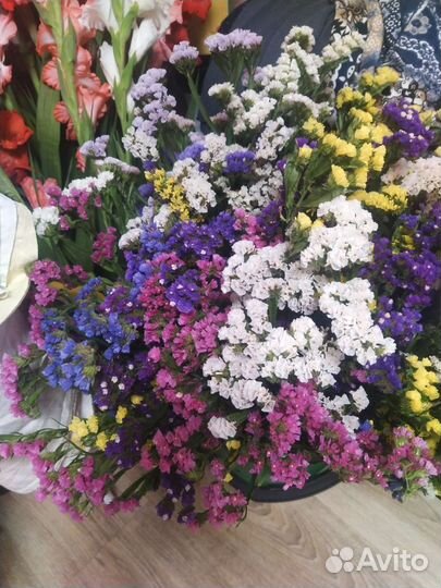 Статица букет