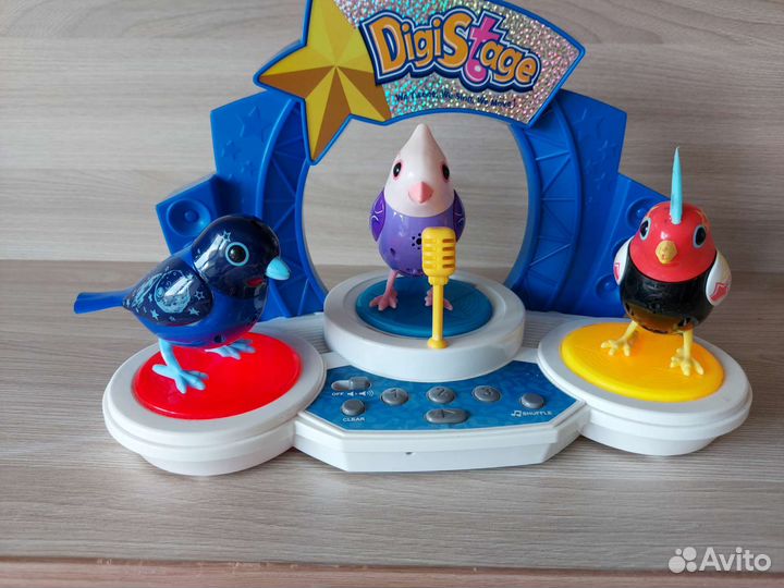 Интерактивные птички DigiStage