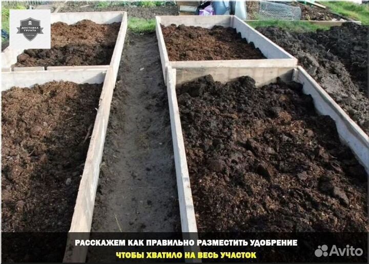 Конский навоз