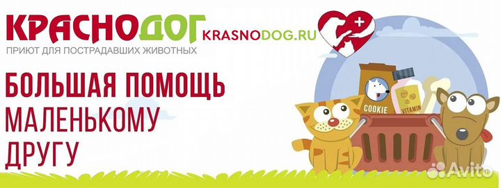 Чаша для каркасных бассейнов Intex 12436 549х132