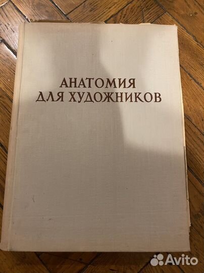 Анатомия для художников