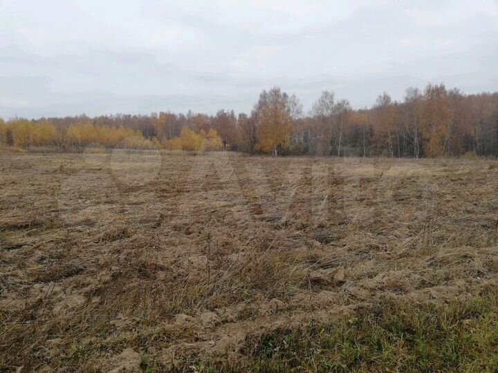 Участок 4,5 га (СНТ, ДНП)
