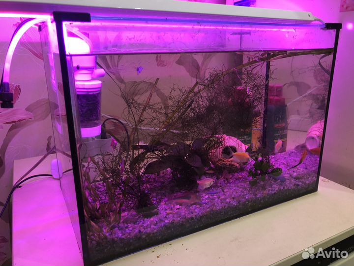 Аквариум