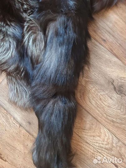 Горжетка, обрезки