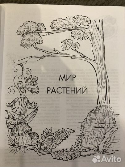 Детская энциклопедия русич