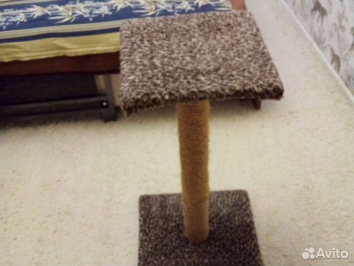 Когтеточка