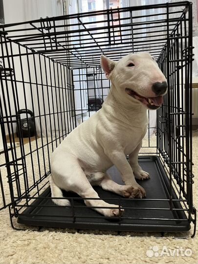 Клетка для животных идеал