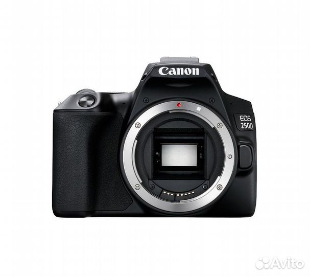 Зеркальный фотоаппарат Canon EOS 250D Kit 18-55 IS