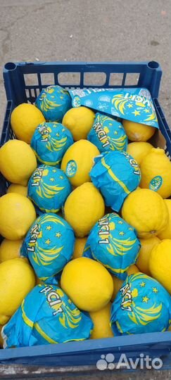 Овощи и фрукты оптом