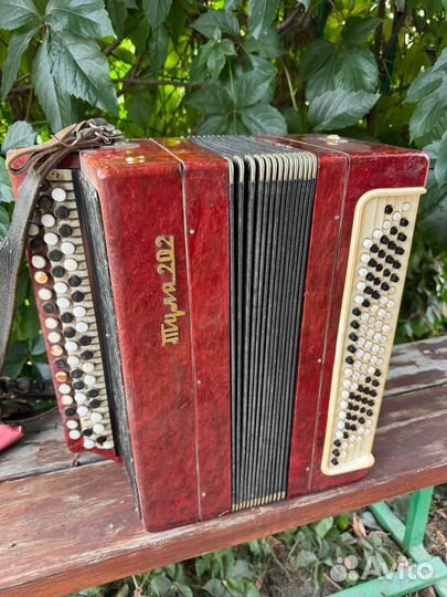 Баян Тула 202