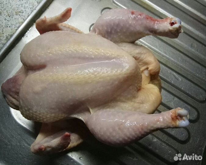 Продам мясо бройлеров