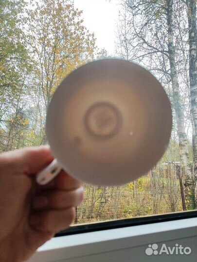 Чайная пара фарфор fioretta