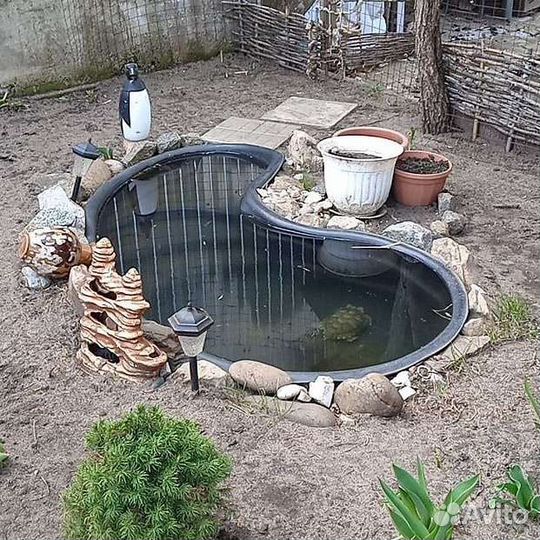 Передержка домашних животных