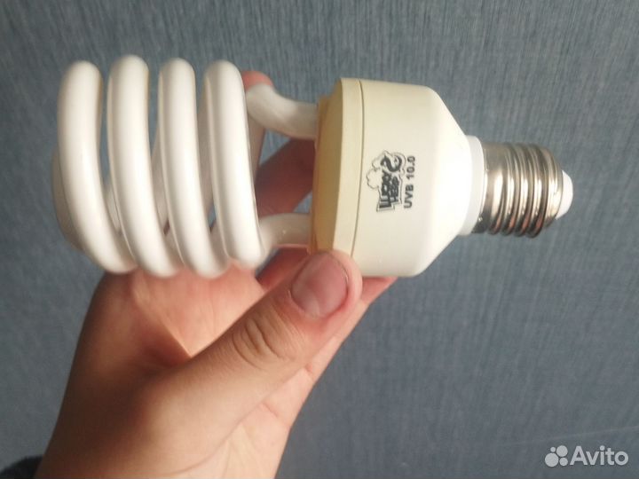 Лампочка для ящерицы