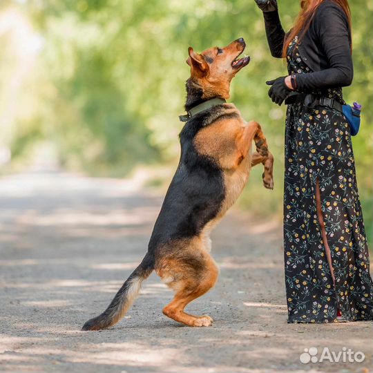 Классный парень ищет семью