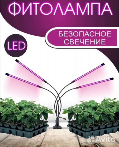 Фитолампа для растений