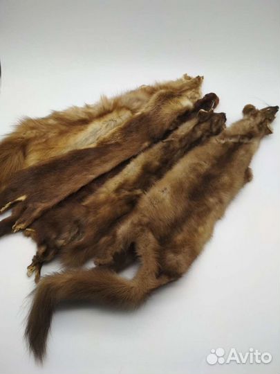 Шкурки пушнина мех куница и норка