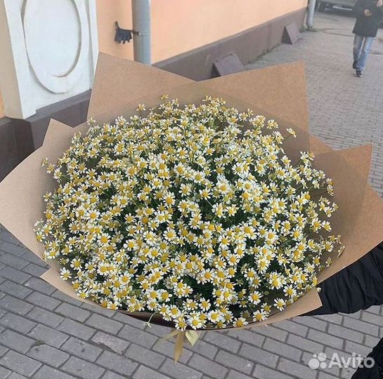 Букеты ромашек