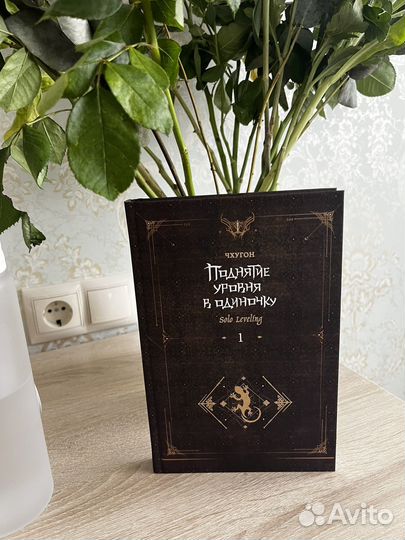 Ранобэ Поднятие уровня в одиночку