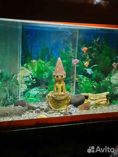 Аквариум с тумбой