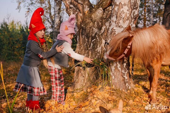 Костюм для фотосессии Новогодний костюм