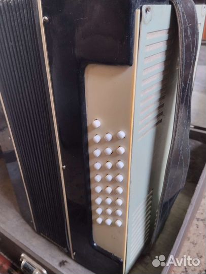 Гармонь беларусь