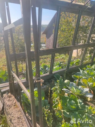 Теплица (каркас из уголка) 6*3