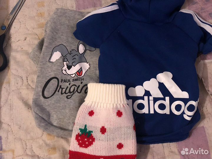 Новая однжда для собак