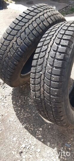 КАМА 505 Irbis 195/65 R15
