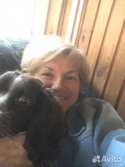 Передержка домашних животных